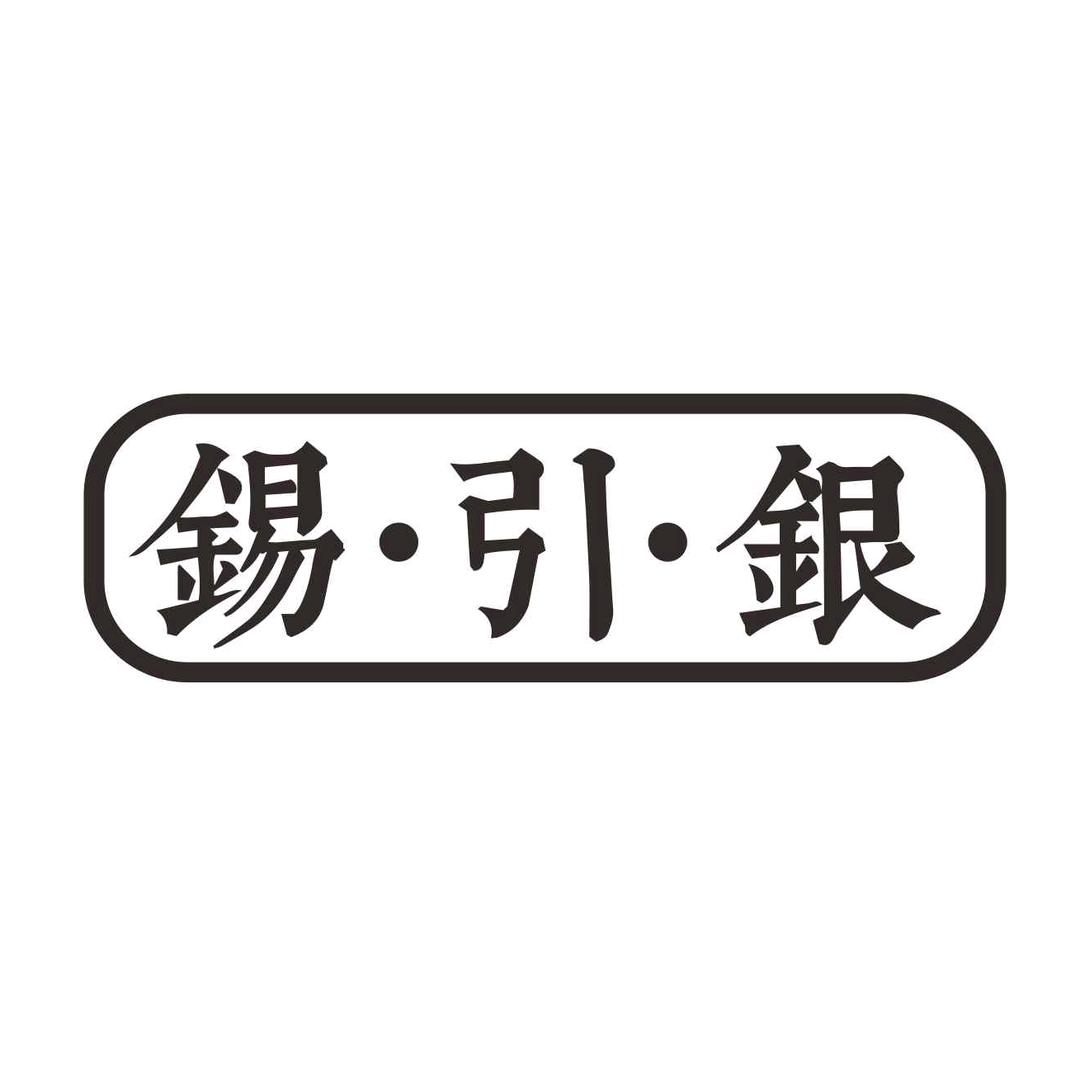 珠海市锡引银金属制品有限公司