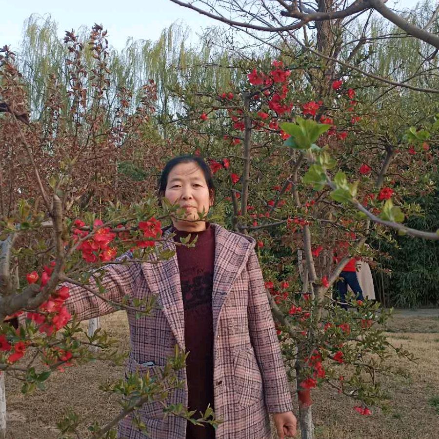 杨兴房