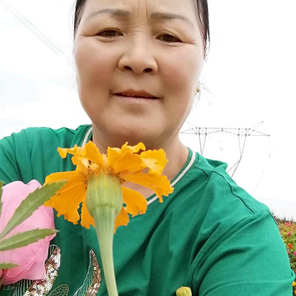 用户9417179640598