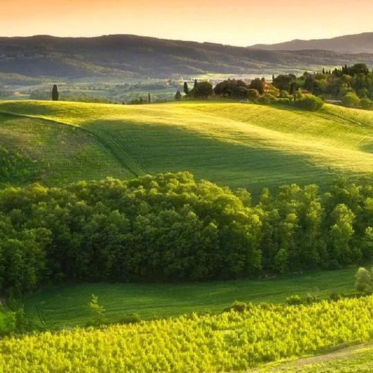 华彩野摊烧烤（郑州）