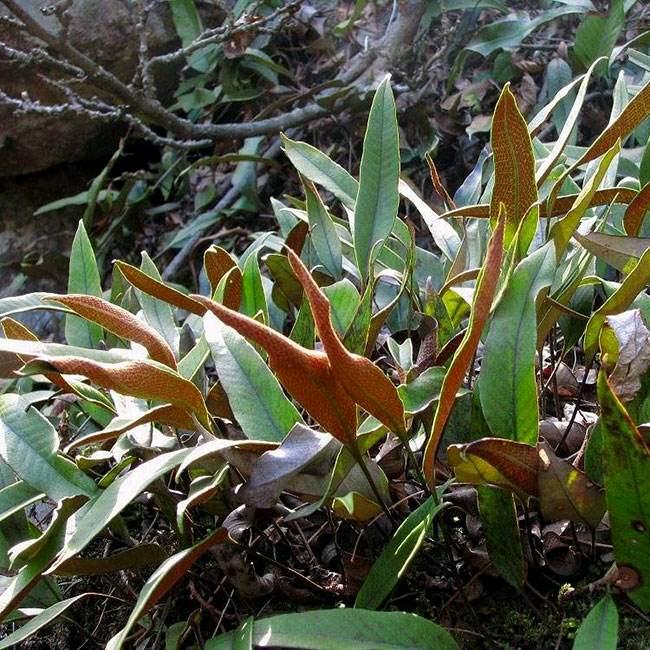 腾讯再生资源有限公司