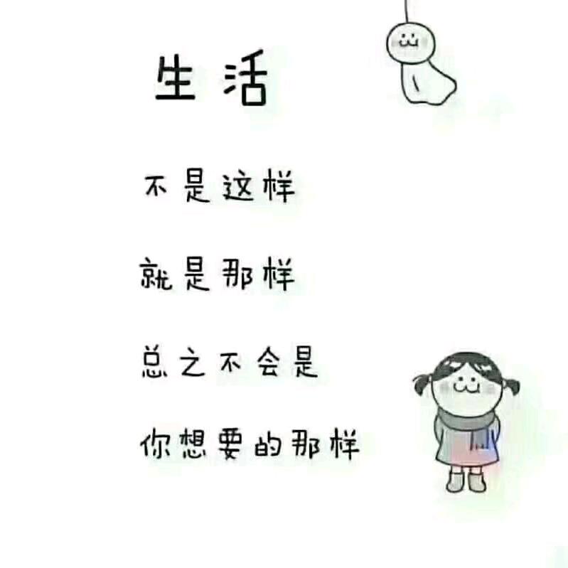 就这样吧！