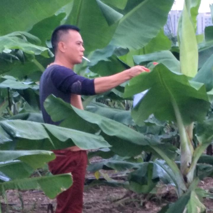 前山镇益国农业