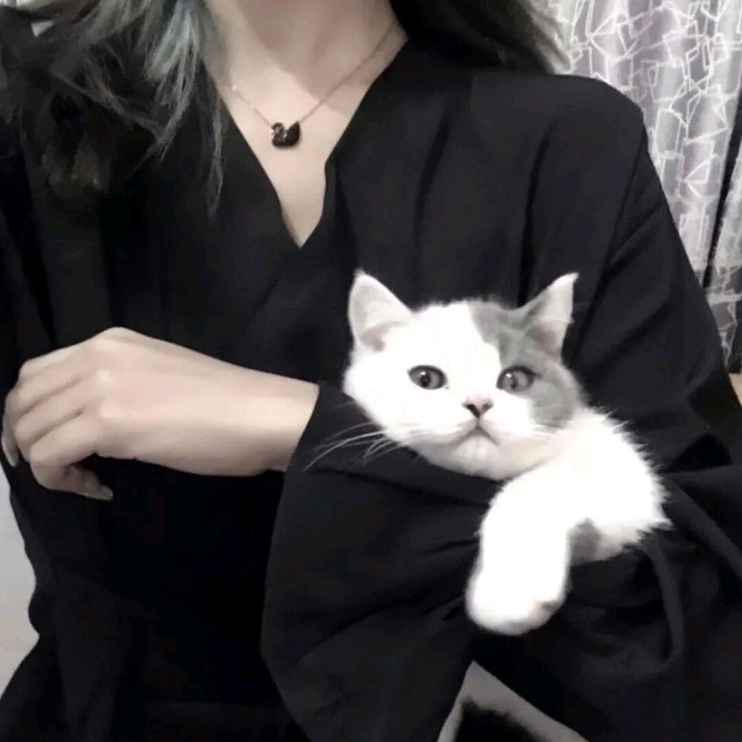 温珩又菜又爱玩