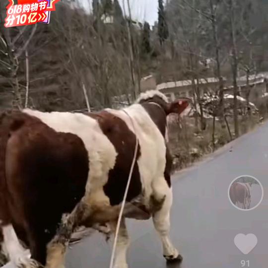 用户8667412038743