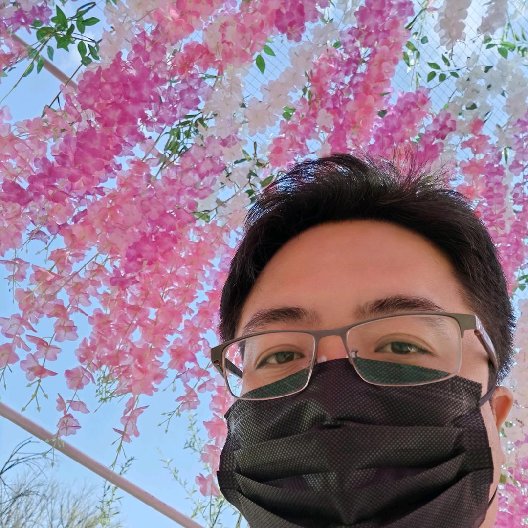 为谁停刘