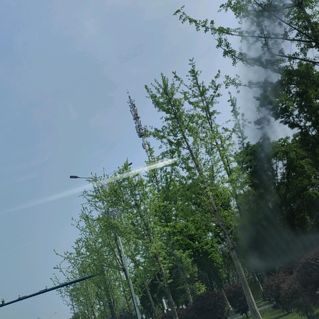 新手老司机