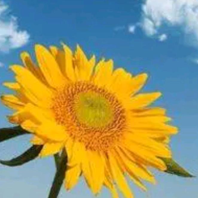 ៚᭄小幸运ॣ࿐ᩚ💖