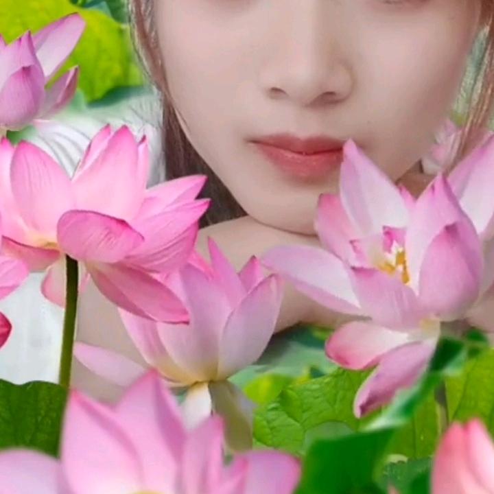 天情