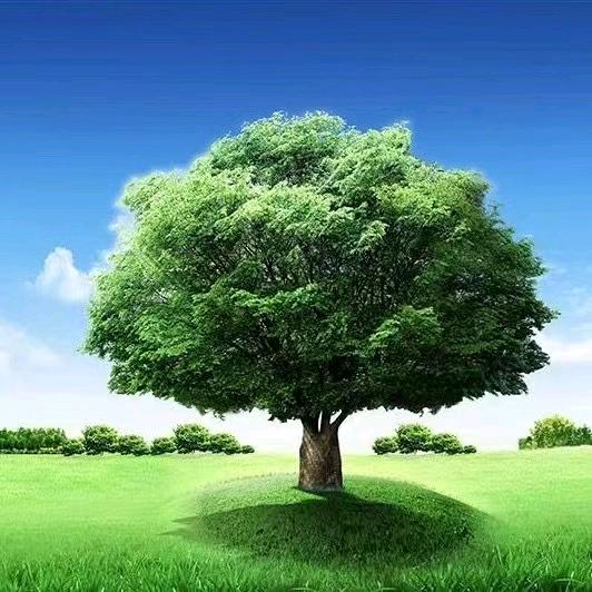 福泽(承蒙厚爱:)