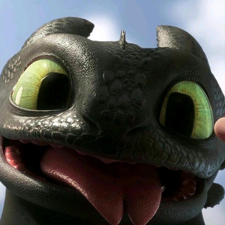 不冷不鉴