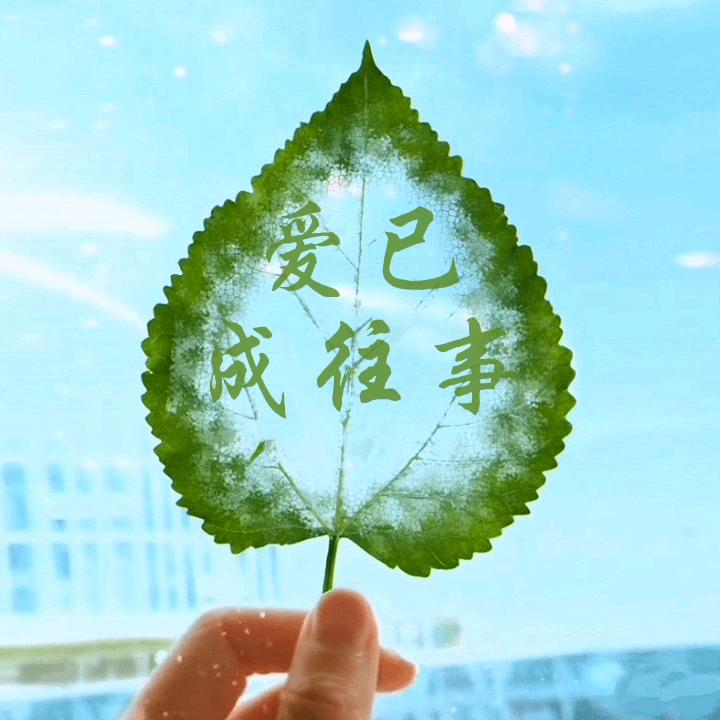 爱，已成往事