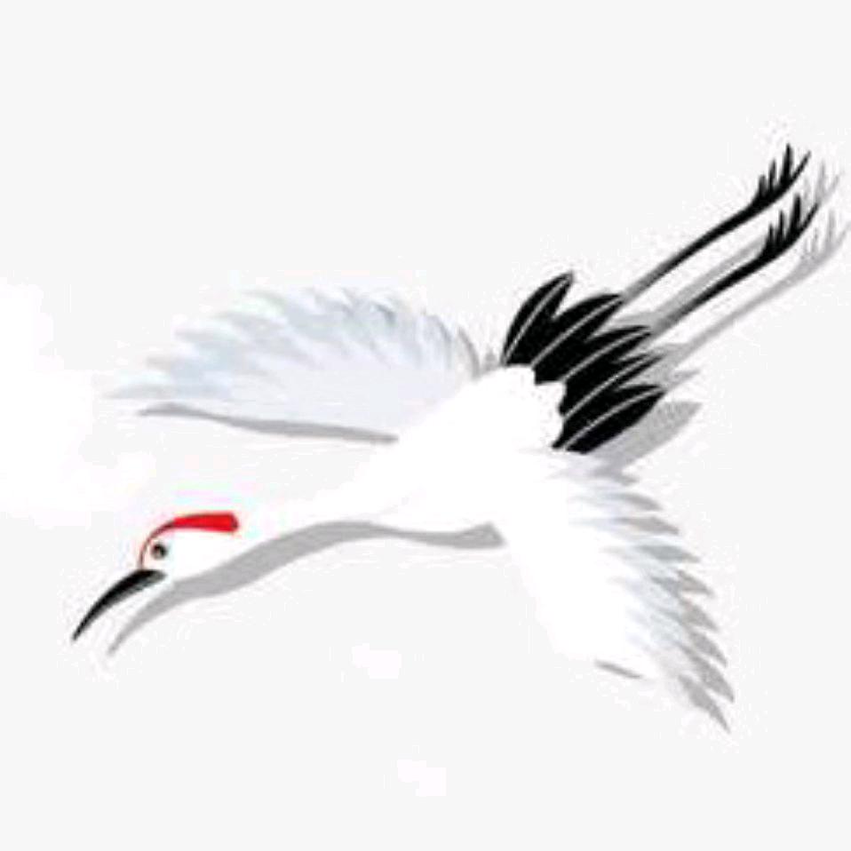 鹤舞影像