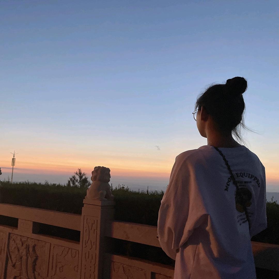 白日梦想家