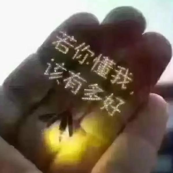 醉清风