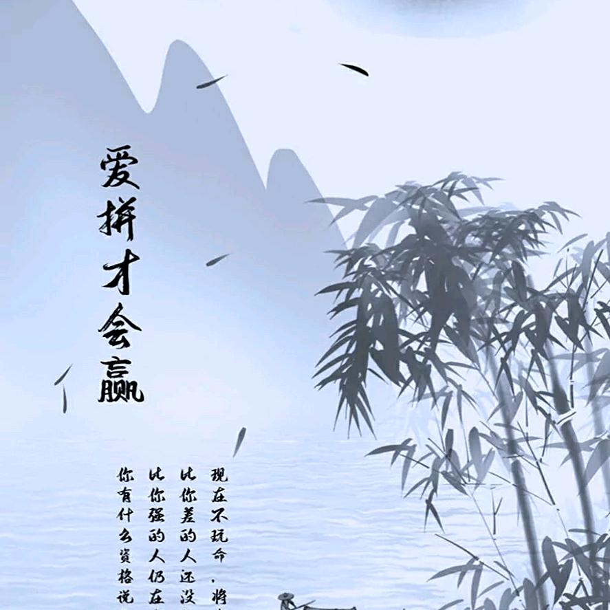 壮志翱翔
