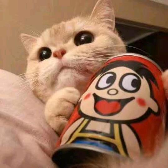 🌈虎宝贝🐯