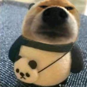 哈哈哈哈