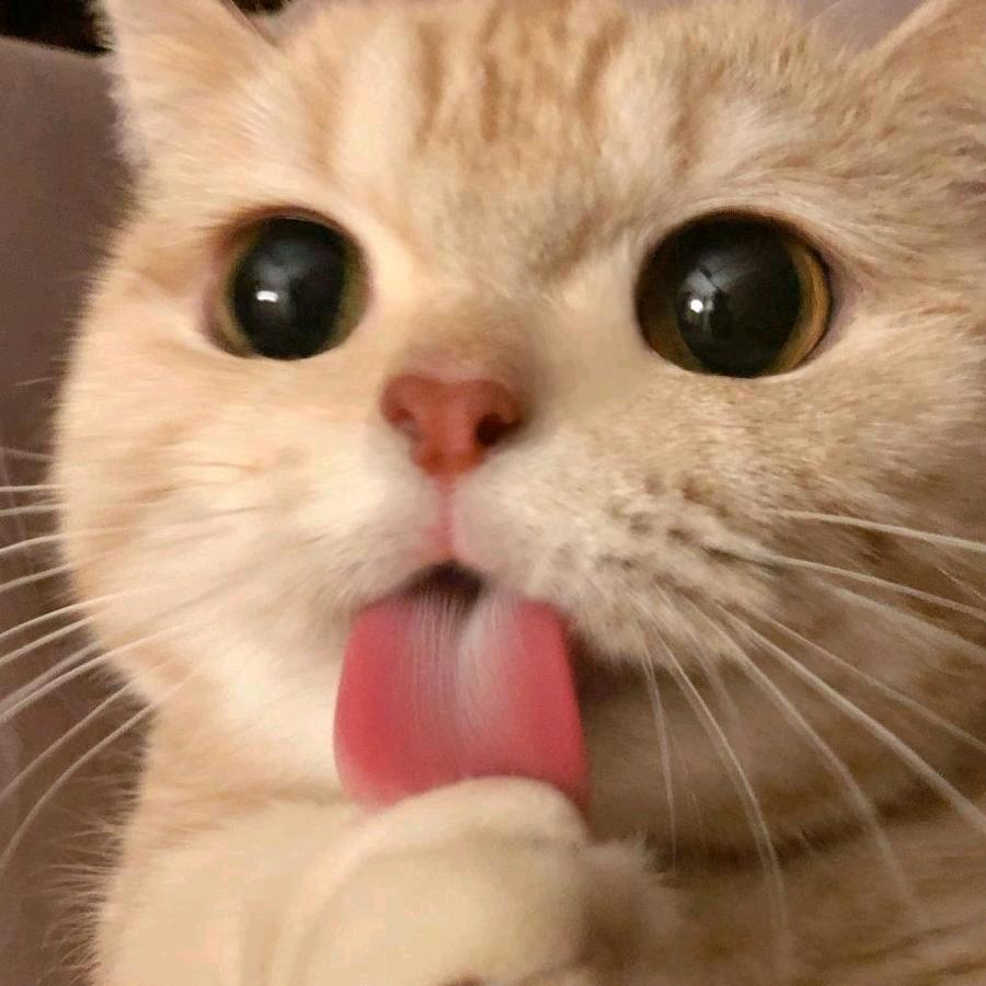 小☆然然⁸⁸⁸