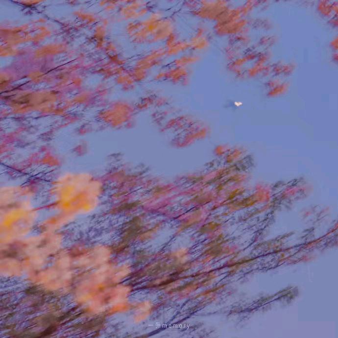 灯火不休