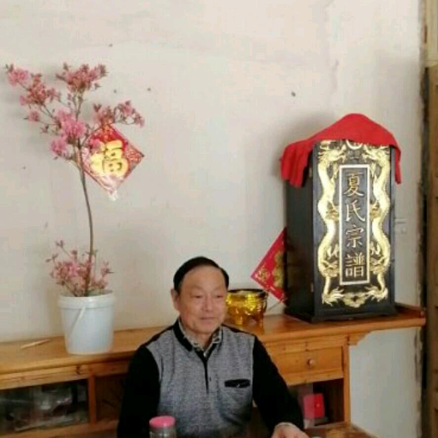 夏灯米