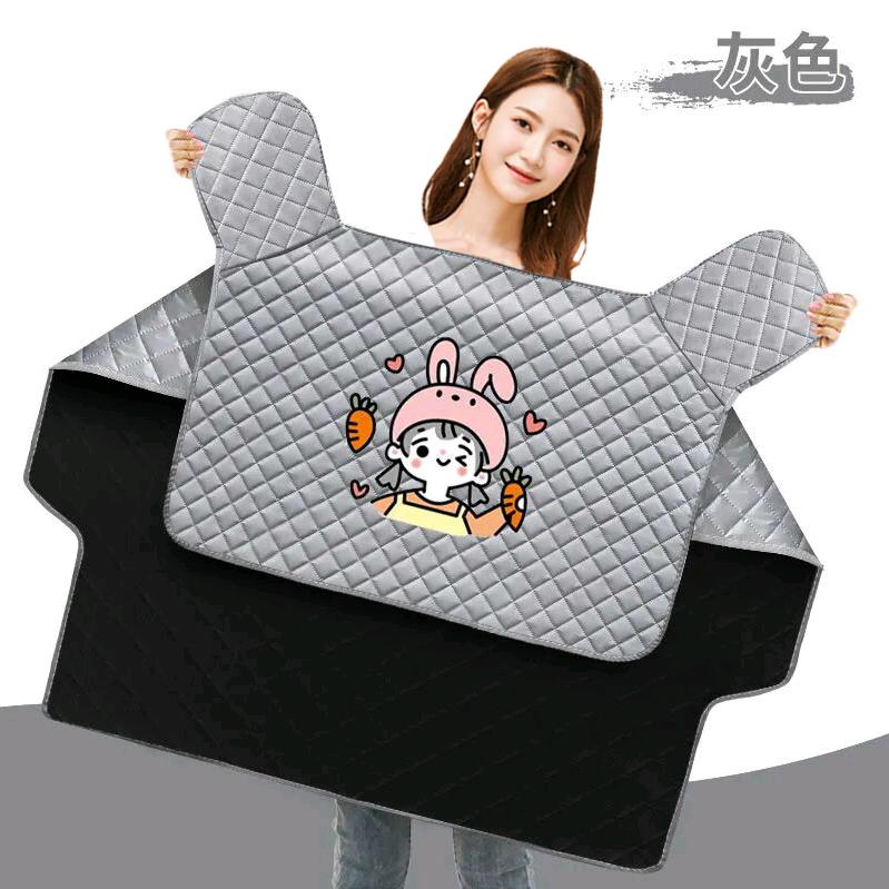 迪莱挡风被厂家