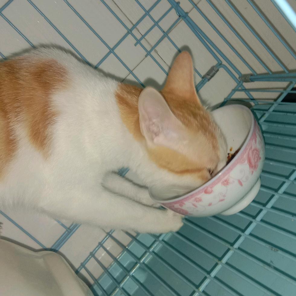 小心超人和伽罗😘😘😘😘😘