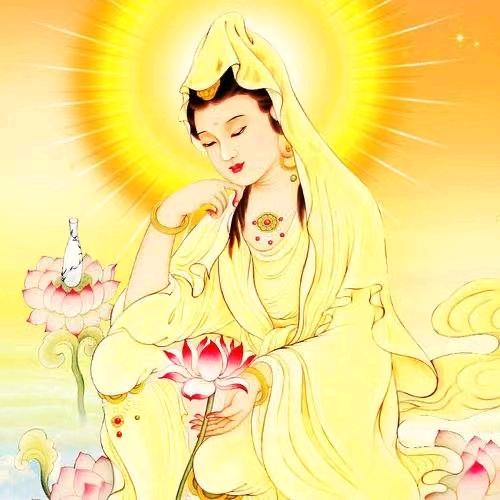 一切随缘《百花仙子》🙏🙏🙏