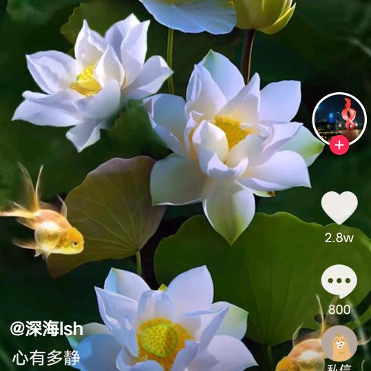 开心快乐每一天💪💪