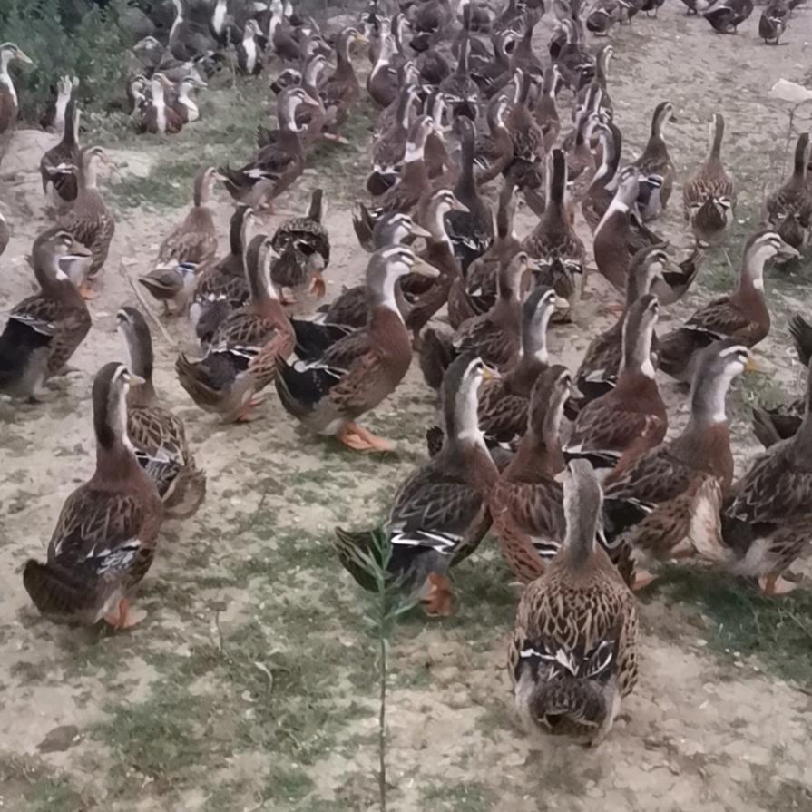 我的世界你不懂