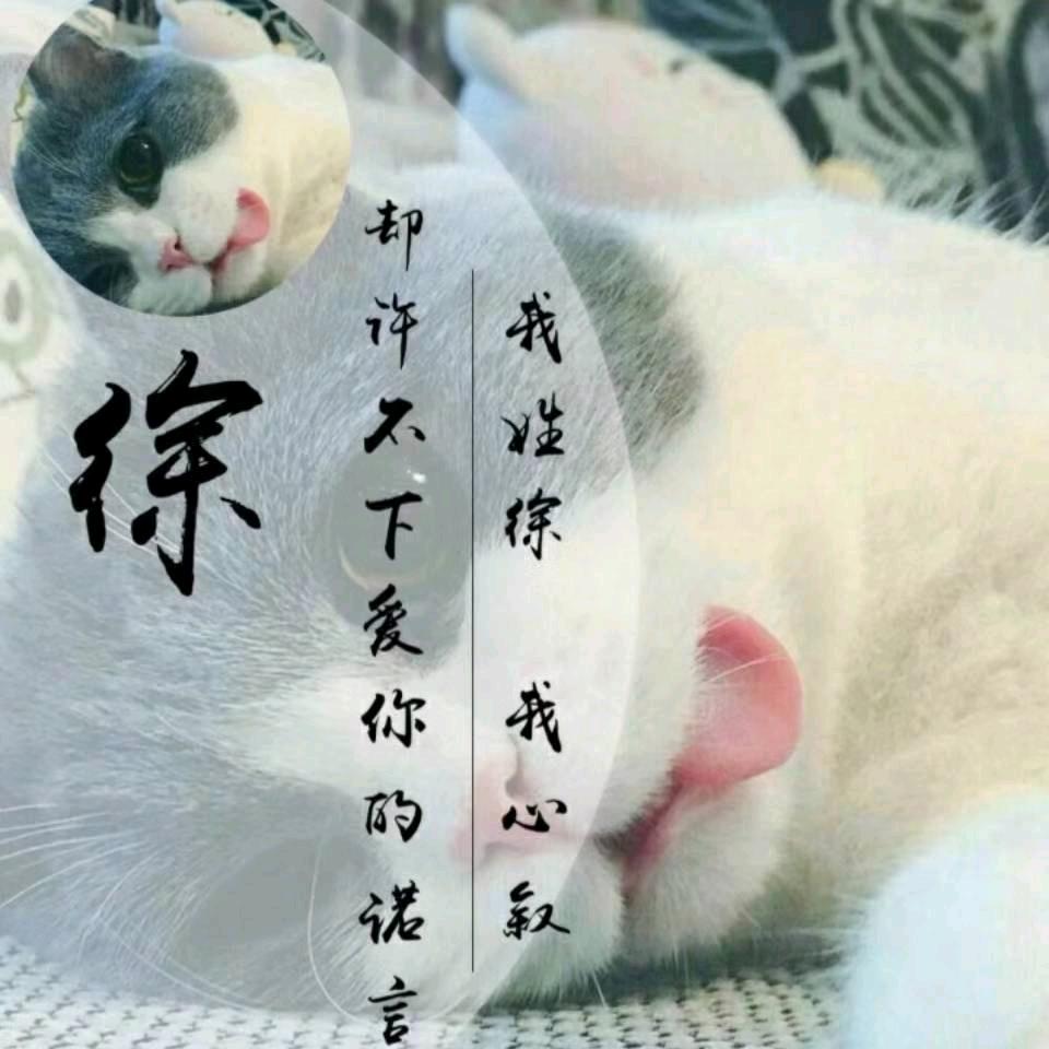 皖北蒙城兄弟演艺传媒