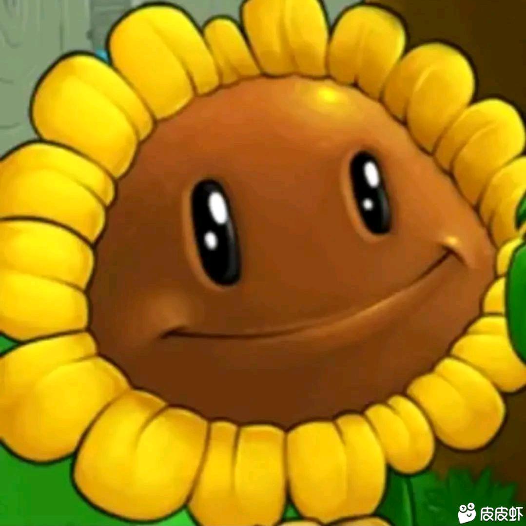 9y