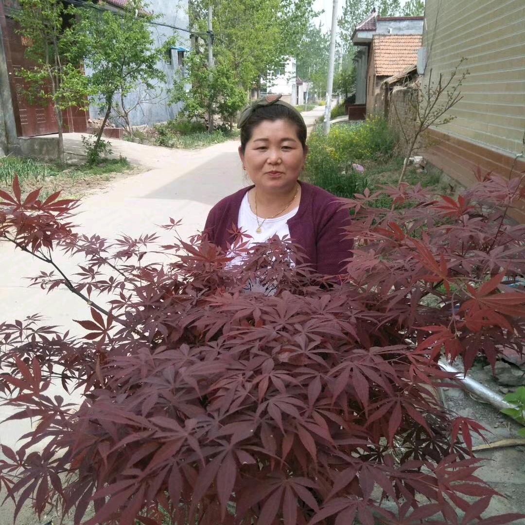快乐美好的一天
