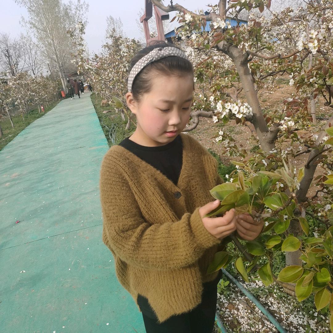 妞妞