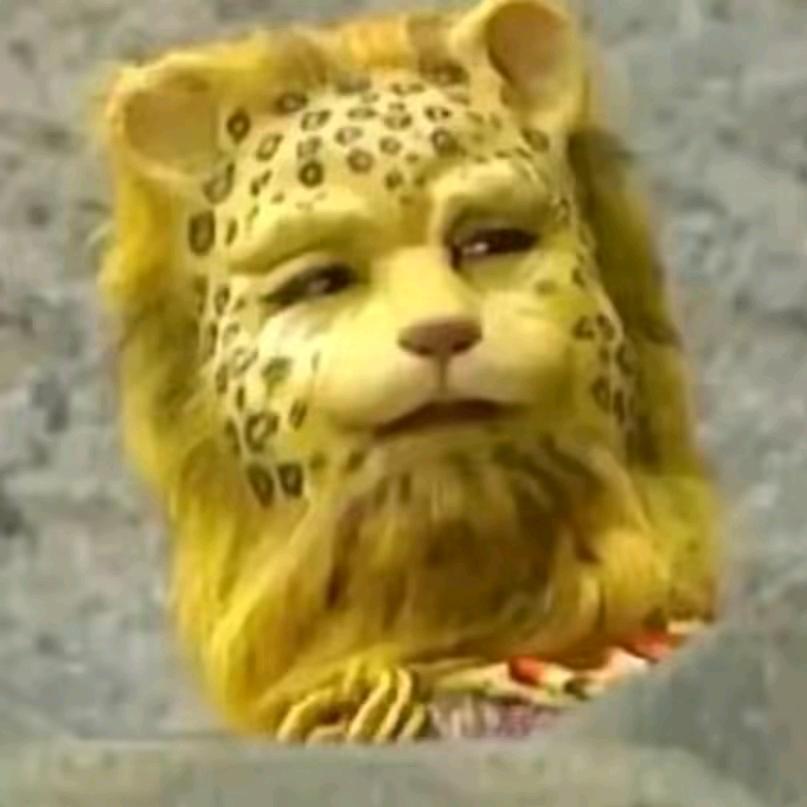 夯哥
