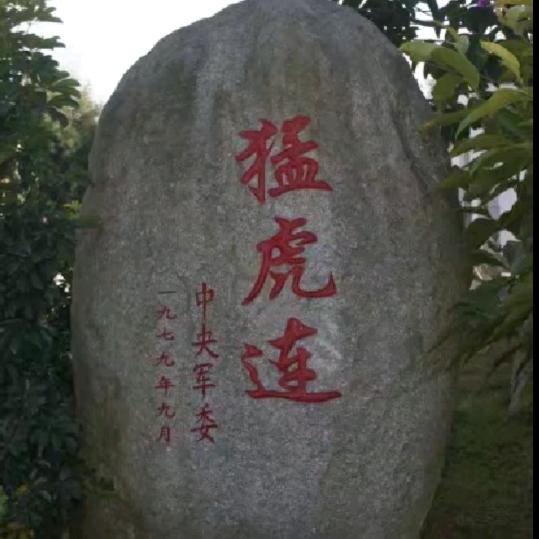 土豆没有豆