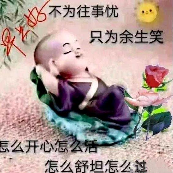 小燕子