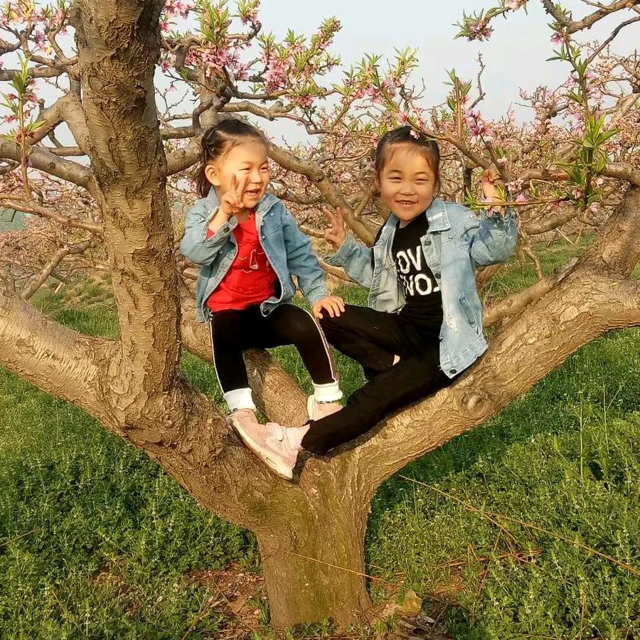 金三角圣婴贝贝孕婴