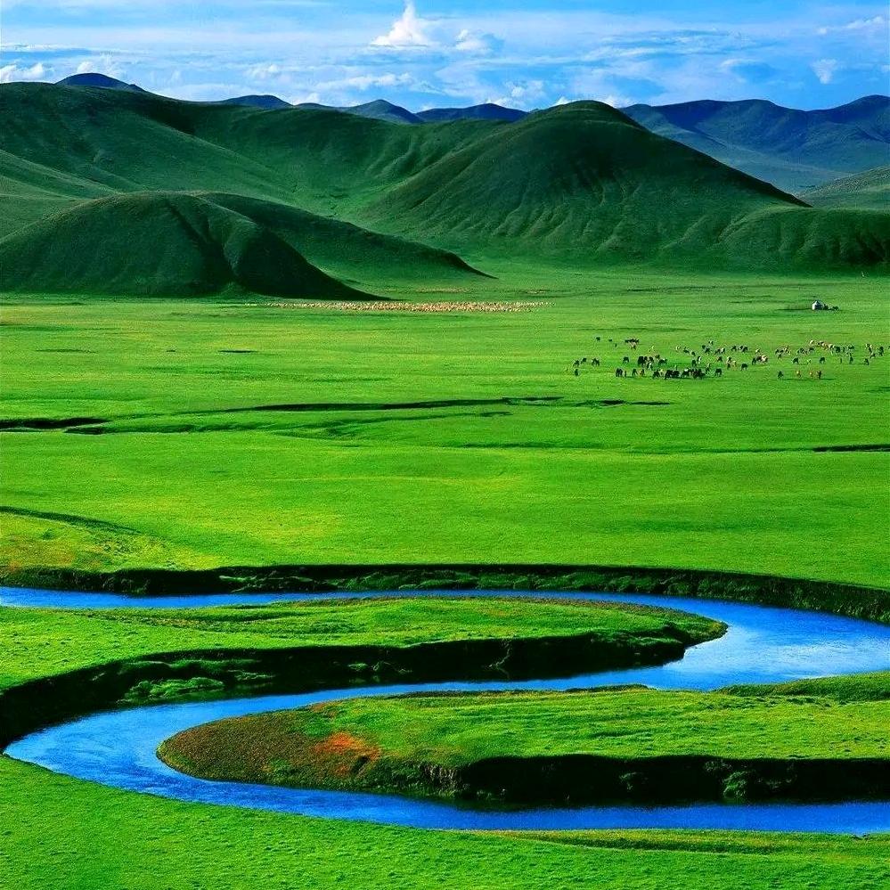 松山取名馆
