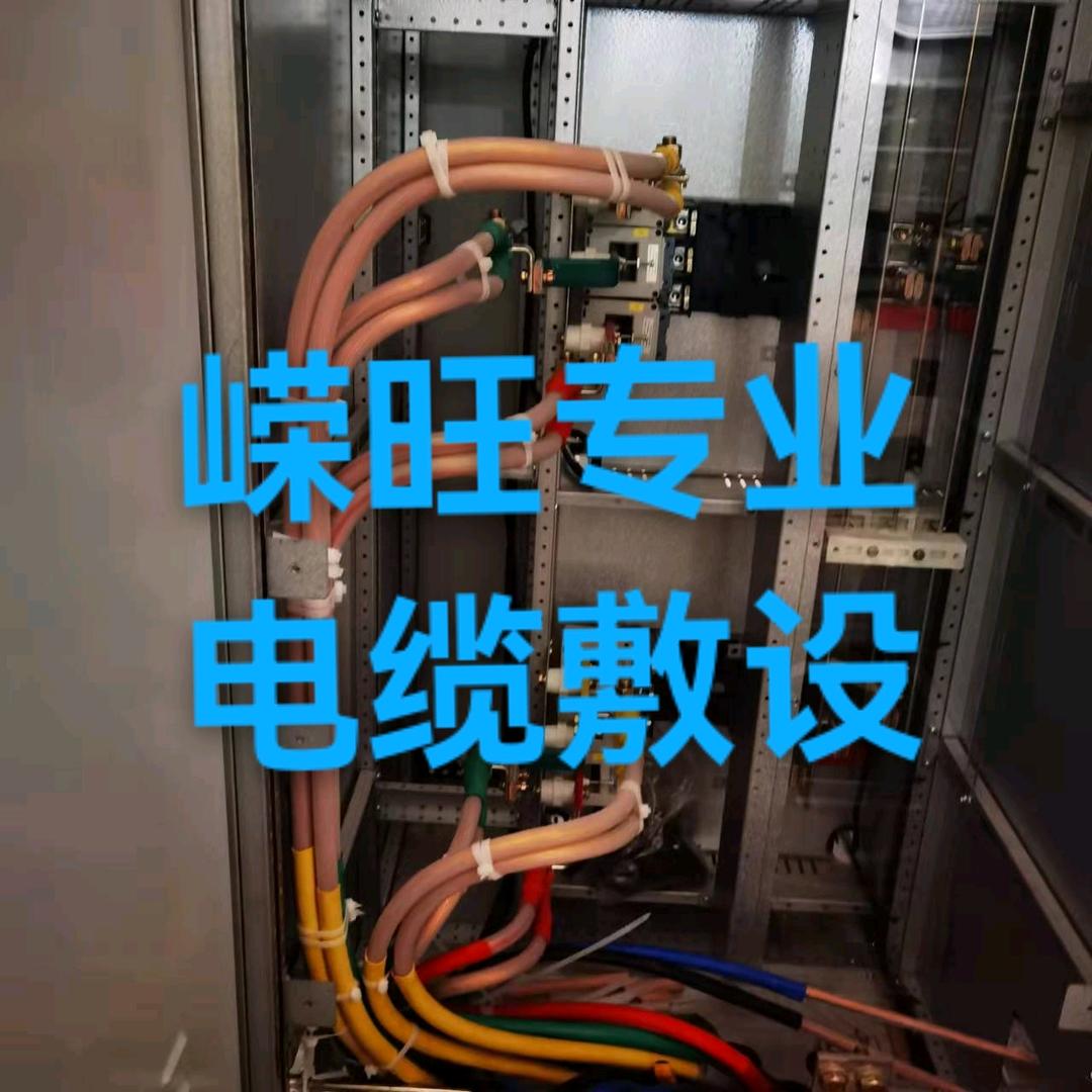 成都嵘旺电气安装有限公司