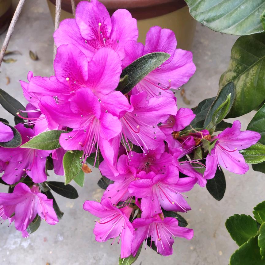 风轻云淡