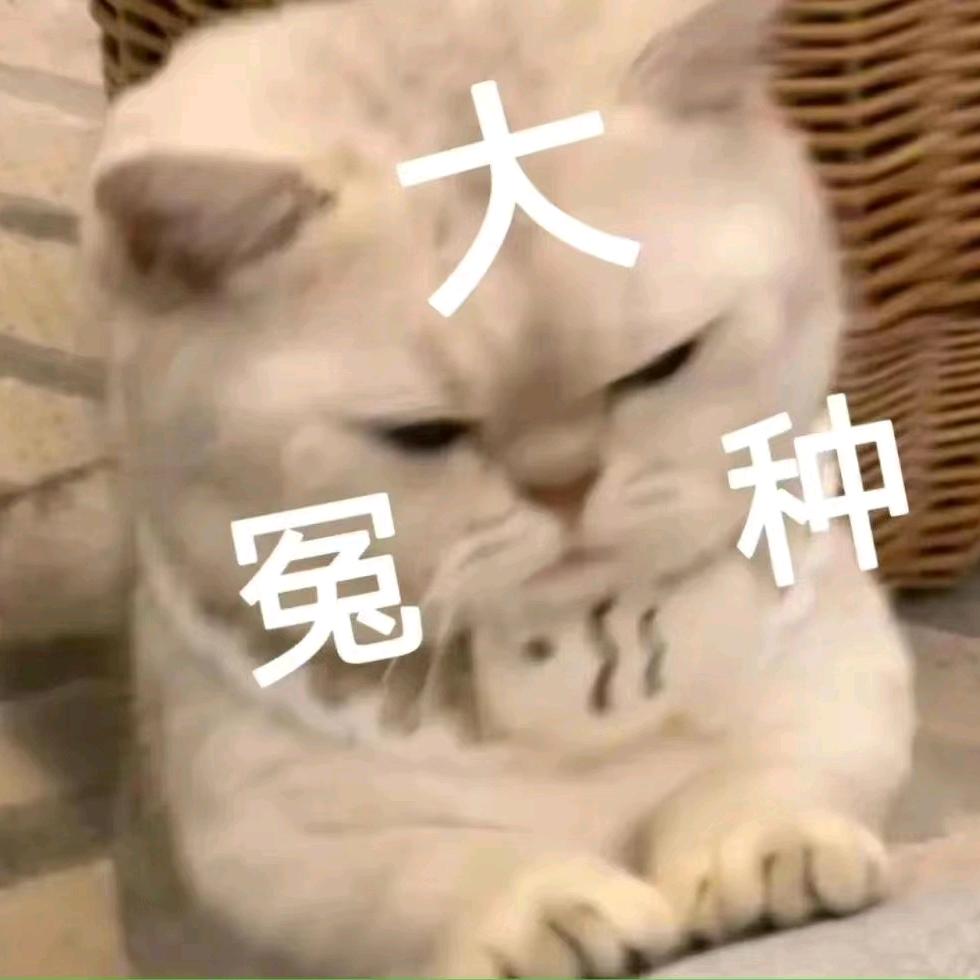 好名字可以让你的朋友更容易记住你