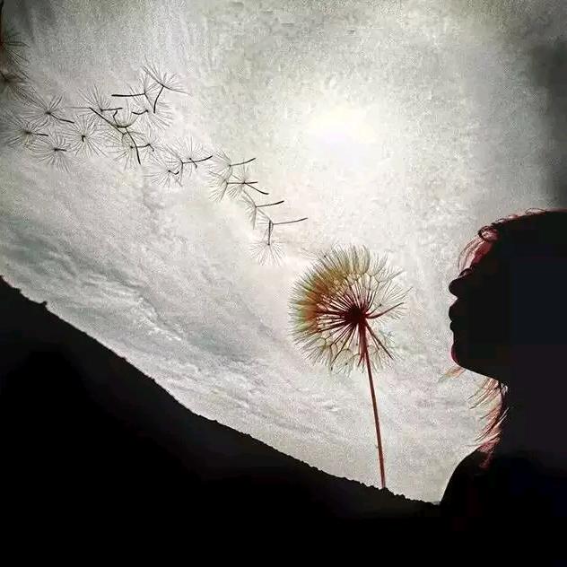 一介俗人🦋🦋