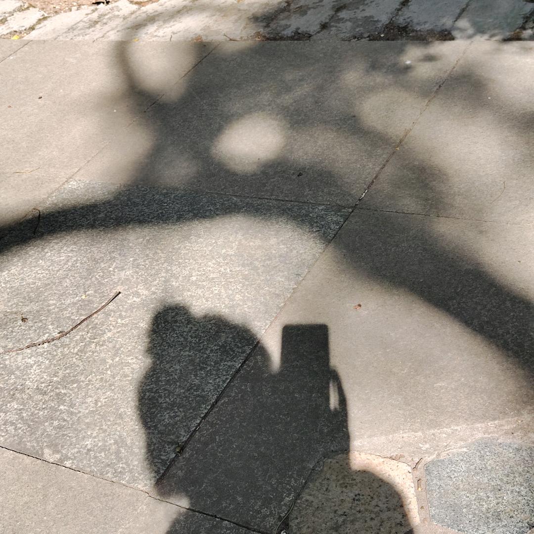明天见昂