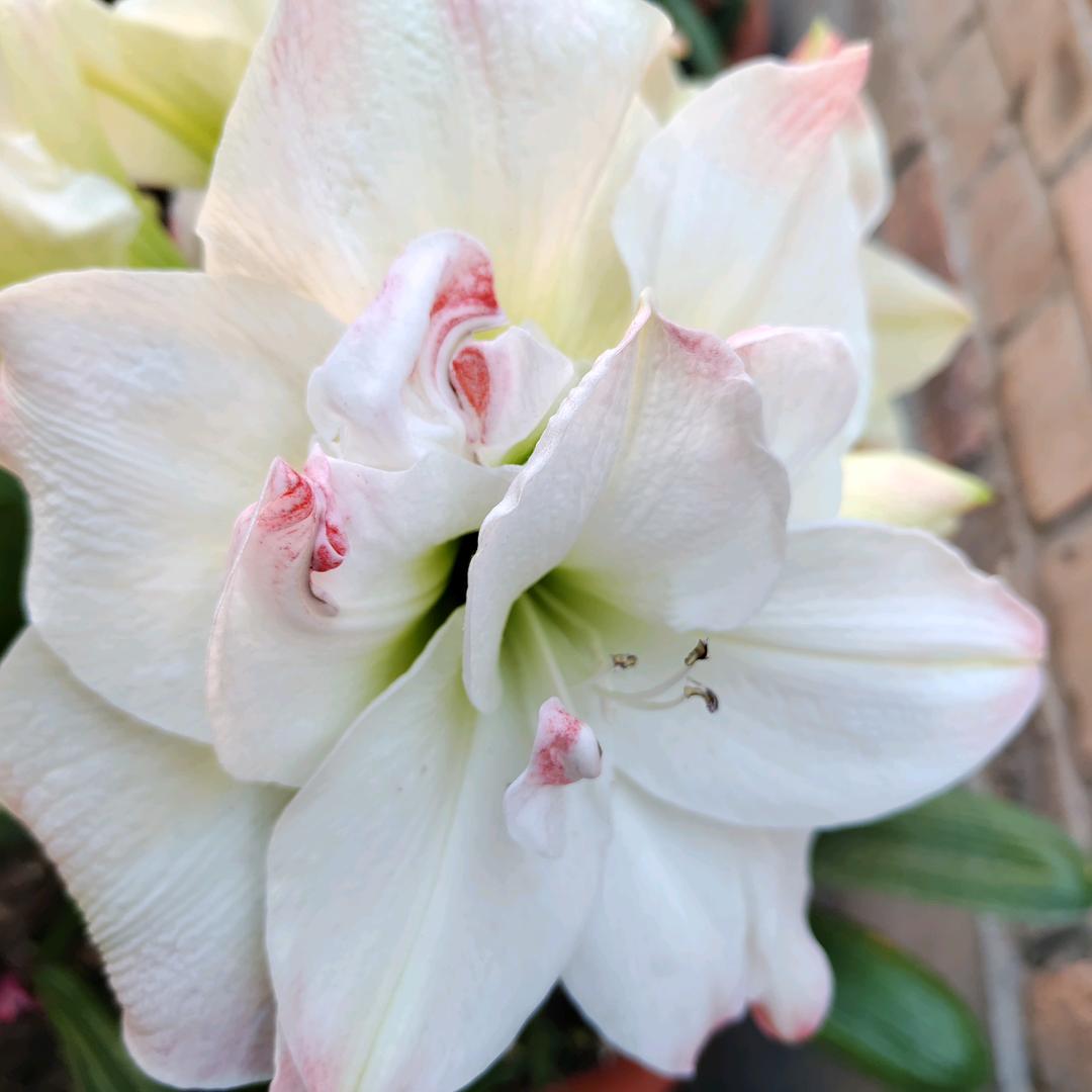 花🌸开人🌸爱