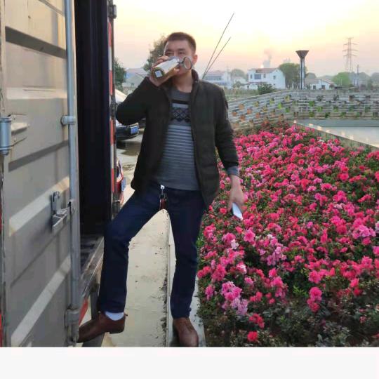 益阳锦程专收售二手货车