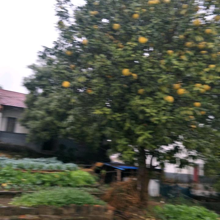 蓝天白云