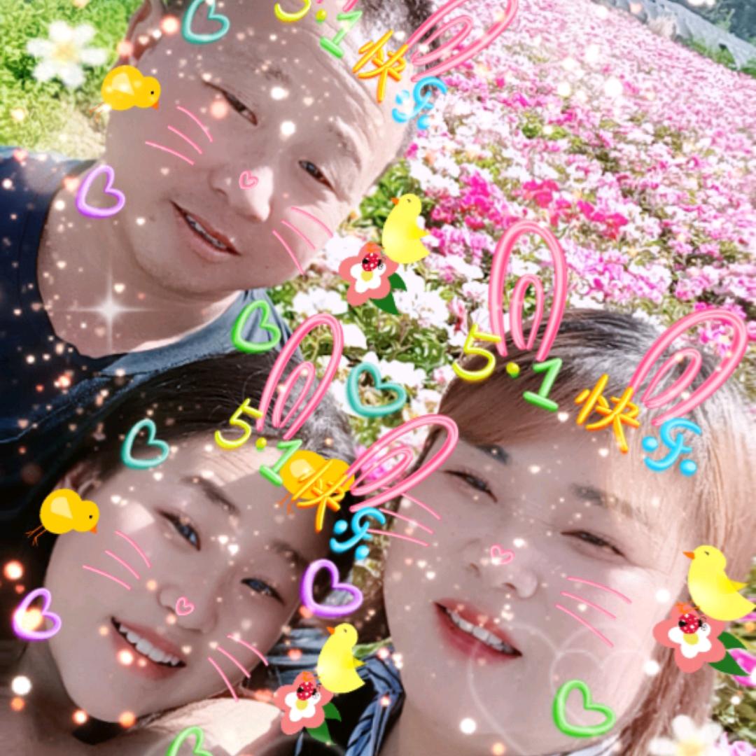 贾(｡ì _ í｡)