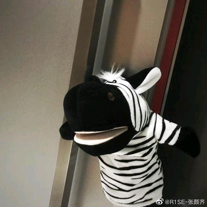 景龙湖畔小斑马