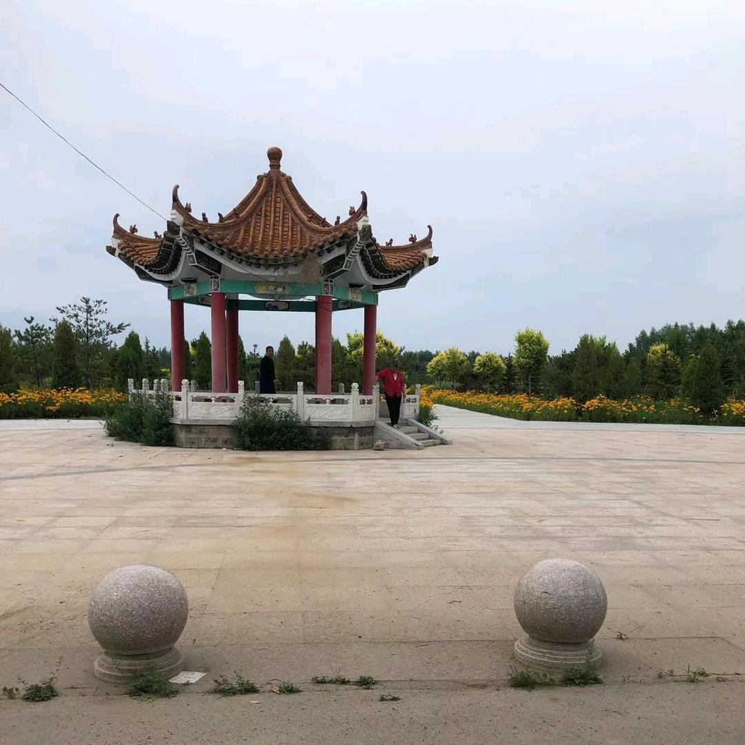 唐姐